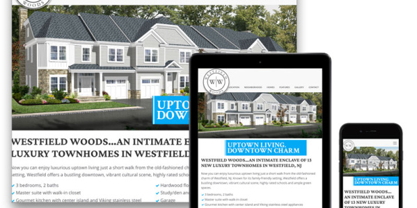 Responsive Design Website