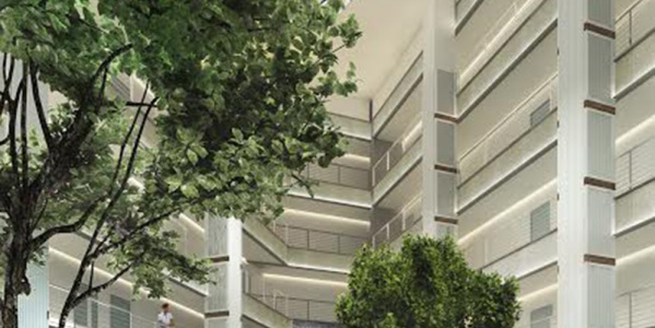 Interior Rendering